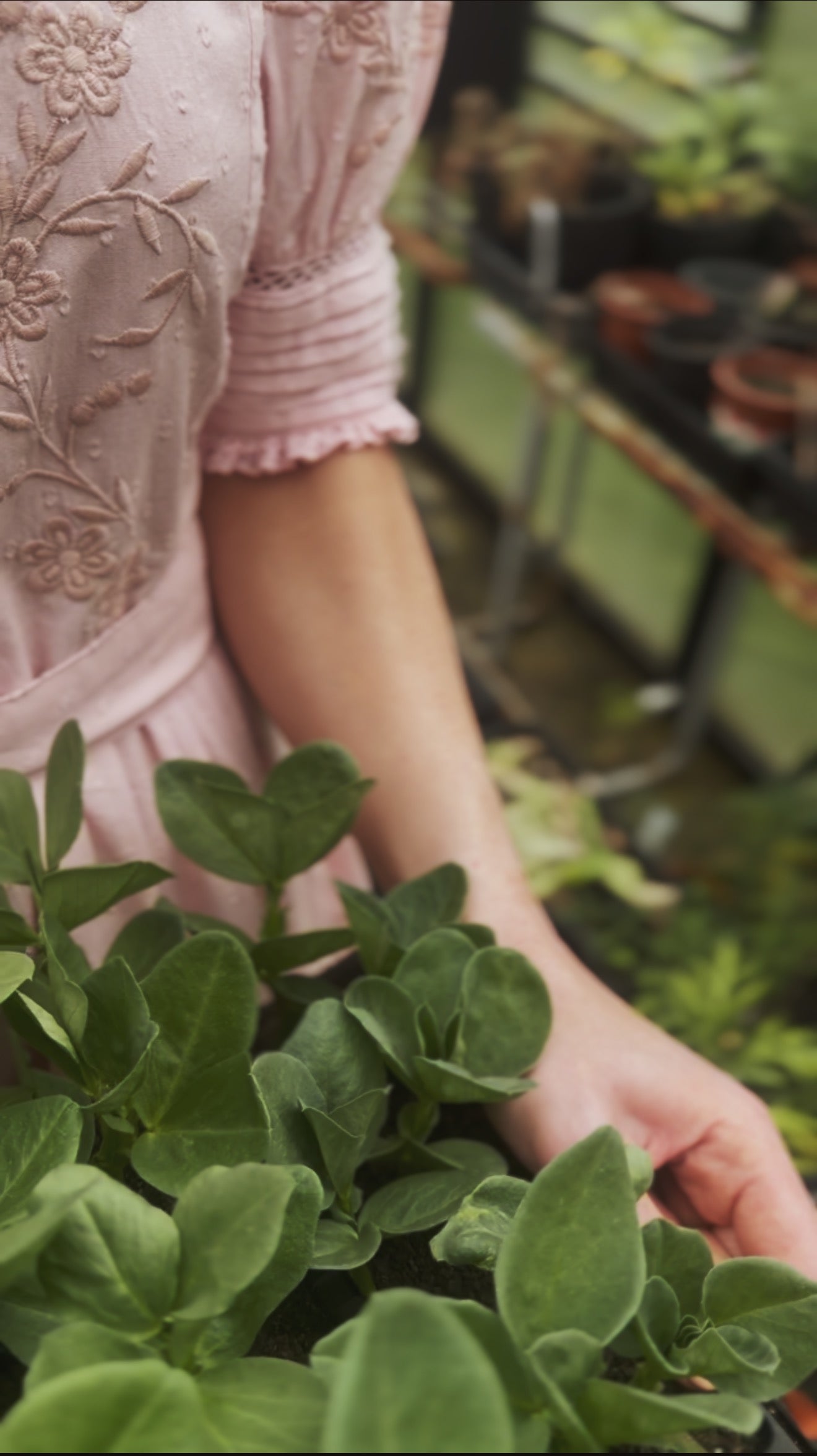 100% RECYCLED COTTON - FAUSTINE DRESS PASTEL PINK