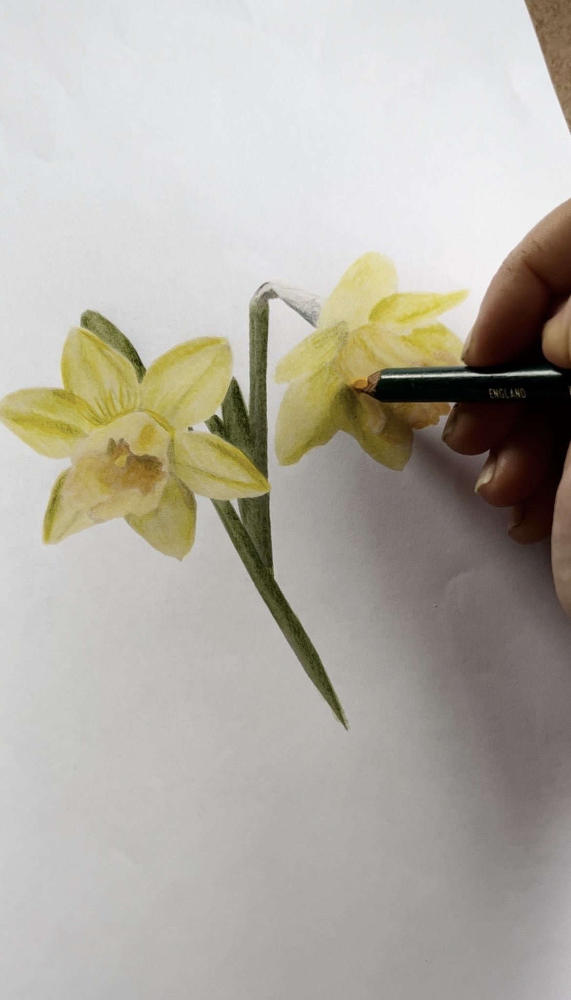 ANKOA X AMY LOUISE - DAFFODIL PENDANT AND CHAIN YELLOW GOLD