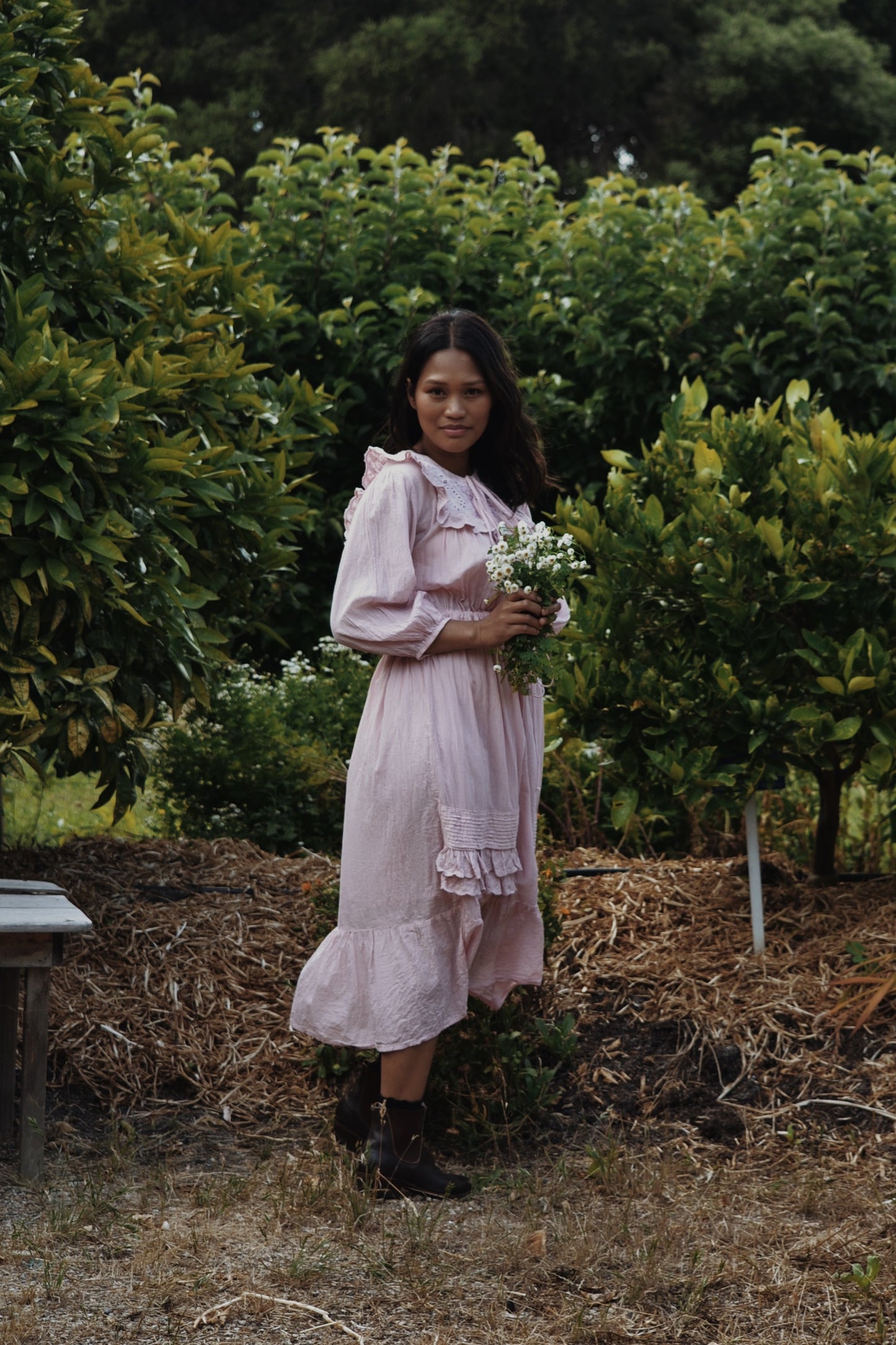 ABERDEEN PASTEL PINK COTTON LACE DRESS